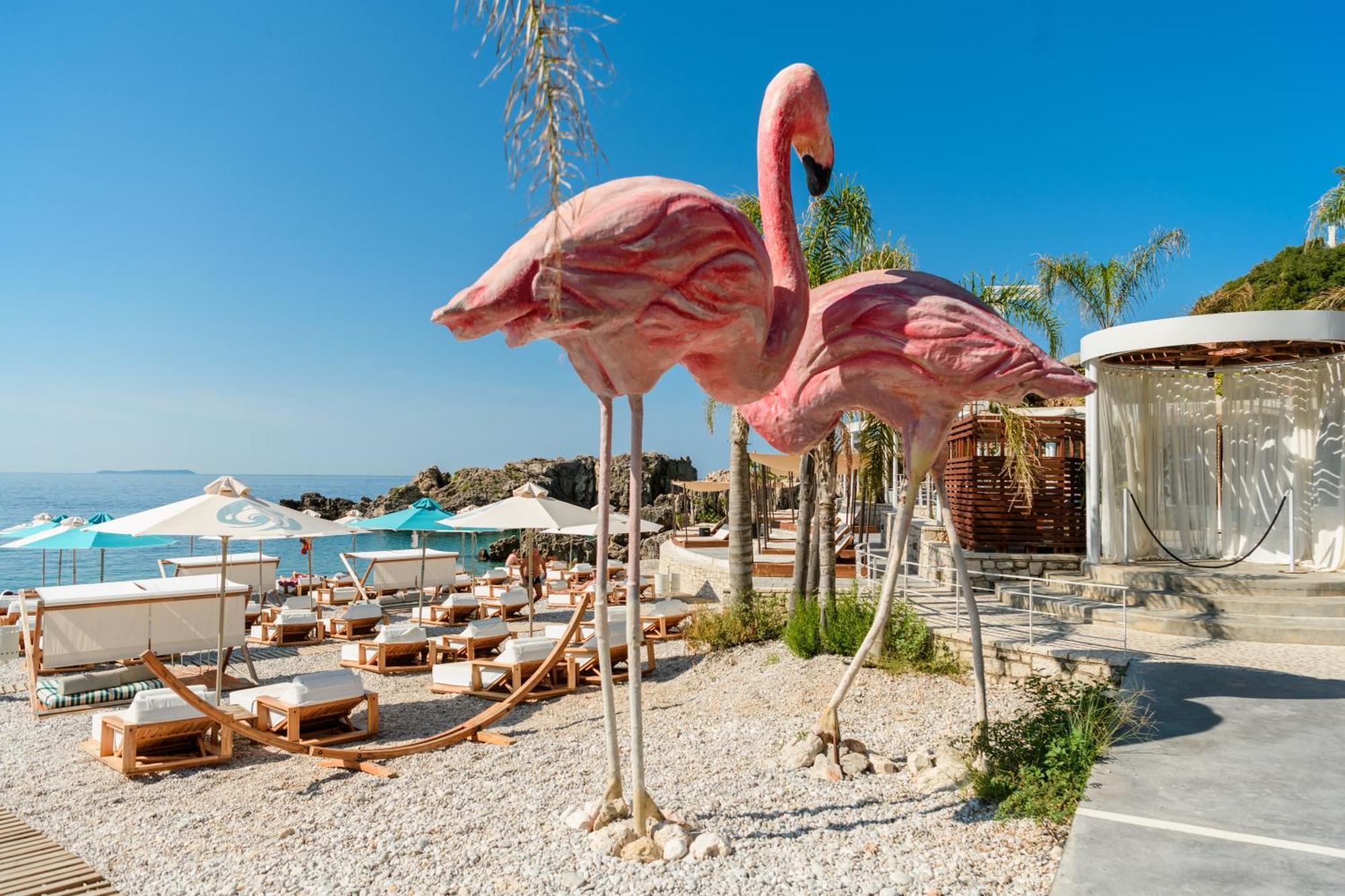 Folie Marine Club Jal